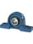 UCP215 Yataklı Rulman (İç Çap: 75mm) 1