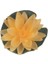 Nilüfer Sarı 10X10 cm (2 adet) 1