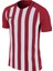 Striped Division Iıı Jsy 894081-657 Kısa Kol Forma 1