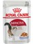İnstinctive Jelly Yetişkin Konserve Kedi Maması 85 gr 1