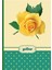 Roses Yellow Not Defteri 1