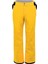 Dare 2b Certify Pant II Erkek Kayak Pantolonu 4