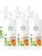 Aloe Vera Jel İçecek Ballı 6'lı Set 1