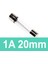 1A 20mm Sigorta 1