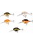 3D Crucian Crank 6,4 Cm 23 Gr Sf Dr Rapala Suni Yem 1