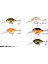 3D Crucian Crank 6,4 Cm 23 Gr Sf Dr Rapala Suni Yem 2