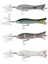 Panic Popper 195 19.5Cm 111G Rapala Suni Yem 1