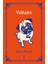Cahil Filozof - Voltaire ( Cep Boy ) 1