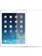 iPad Air 2 Tempered Glass Mat Cam Ekran Koruma 1