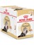 Persian Loaf Mousse Yaş Mama 85 Gr. 12 Adet 1