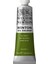 Winton Yağlı Boya 37Ml Sap Green 599 37 1
