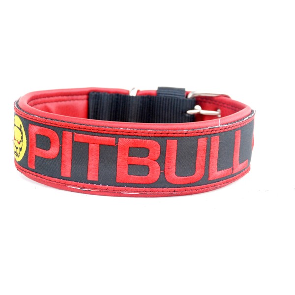Ac Leather Köpek Tasmaları ve Fiyatları