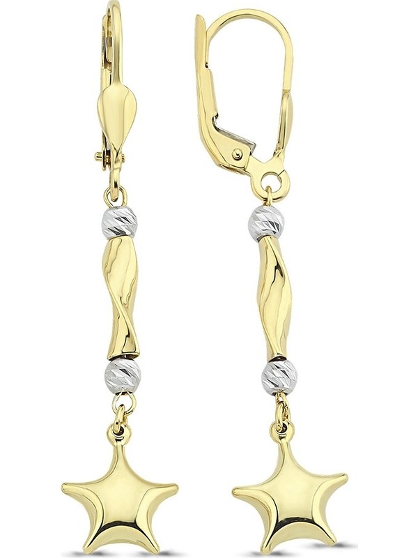 Koçak Gold FRV14KUP856 14 Ayar Yıldız Altın Küpe Fiyatı