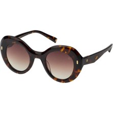 Hermossa 1517 C2 46-26 145 Kadın Güneş Gözlüğü