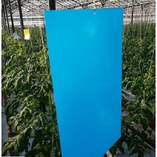 Agro Turkey Sera ve Bahçe Zararlıları Için Mavi Yapışkan Tuzak - Sinek Tuzağı (10CM x 20CM) - 10 Adet
