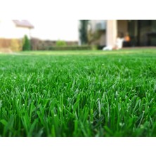 Grass Seed Basılmaya Uygun 4'lü Ithal Karışım Çim Tohumu 1 Kg