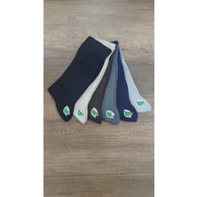 Erceys Erkek 6 Çift Yazlık Dikişsiz Bambu Klasik Çorap