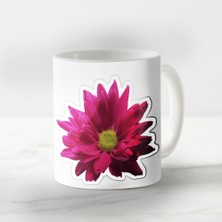 Vadi Burada Sevgiliye Özel Pembe Çiçek Harika Kupa Tasarımı