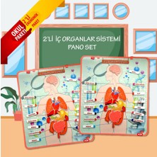 2 Set - 52 Parça Tox Iç Organlar Sistemi Keçe Duvar Panoları , Eğitici Oyuncak