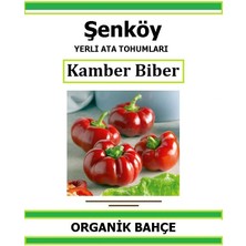 Şenköy Yerli Kamber Domates Biber Tohumu Doğal Ata Tohum Pakette 20 Tohum +  Sebze Tohumu