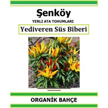 Şenköy Yerli Yediveren Acı Süs Biber Tohumu Doğal Ata Tohum Pakette 20 Tohum +  Sebze Tohumu