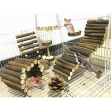 Xinhang 8 Adet Hamster Oyuncaklar Set Ahşap Kafes Salıncak Diş Çıkarma Oyuncaklar Tırmanma Merdiven Köprü Egzersiz Oynarken Diş Bakımı Oyuncak Tavşan Gerbils | Kuş Oyuncakları (Yurt Dışından)