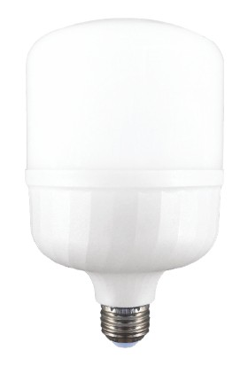 Dünya Led HS.1209/1 20W E27 LED Torch LED Ampul 6500K Beyaz Işık Yüksek Lümen Kolay Kullanım