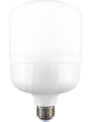 Dünya Led HS.1213/1 60W E27 Torch LED Ampul 6500K Beyaz Işık Yüksek Lümen Kolay Kullanım