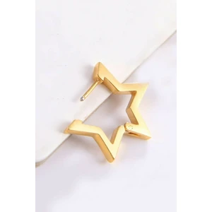 Trend Collection Yıldız Şekilli Unisex Gold Cerrahi Çelik Küpe
