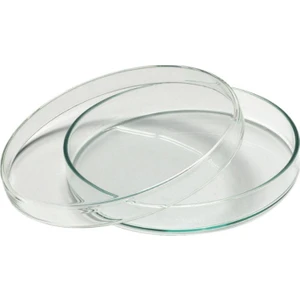 Petri Kutusu Kabı 60 x 15 mm Plastik Gamma Steril 10 Adet