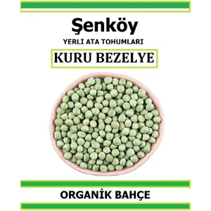Yerli Kuru Bezelye Tohumu Doğal Ata Bezelye Tohumu Pakette 20 Tohum +  Sebze Tohumu