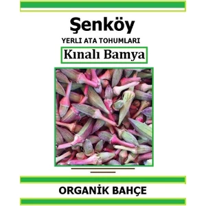 Yerli Kınalı Köy Bamya Tohumu Doğal Ata Bamya Tohumu Pakette 5 Gr 70 Tohum +  Sebze Tohumu