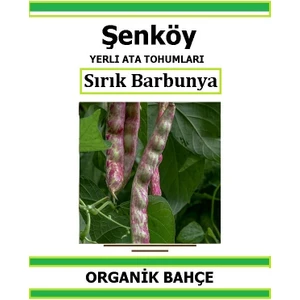 Yerli Sırık Barbunya Tohumu Doğal Ata Barbunya Tohumu Pakette 20 Tohum +  Sebze Tohumu