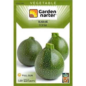 Garden Narter Topak Kabak Tohumu Doğal Organik Tohum Pakette 20 Tohum +  Sebze Tohumu