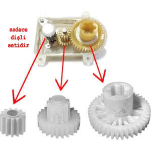 Schafer Meister Multi Blender Seti Hazne Kapağı Dişli Kutusu Tamir Dişli Seti Uyumlu