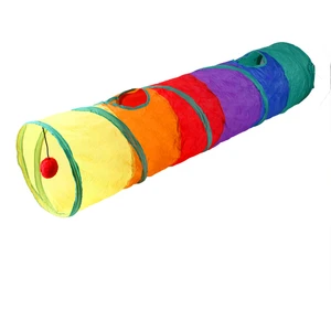 Rainbow Pet Oyun Tüneli (Yurt Dışından)