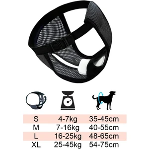 Pets  Go Köpek  Regl  Külodu