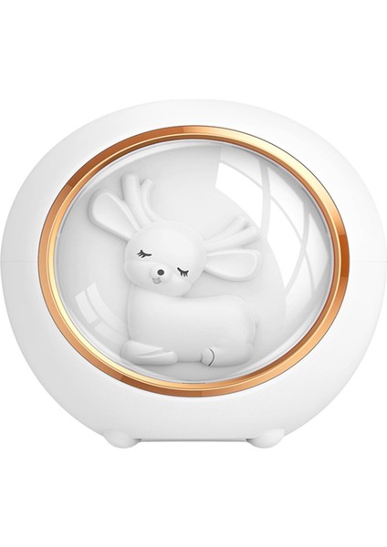 Hava Nemlendirici (Yurt Dışından) fiyatları