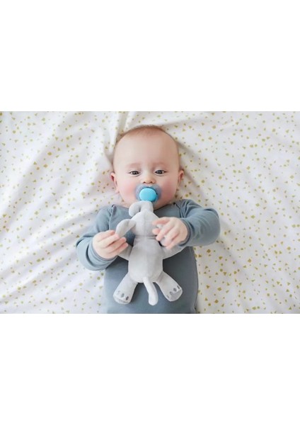 SCF34811 Uyku Arkadaşlı Ultra Soft 0-6 Ay Emzik Fil