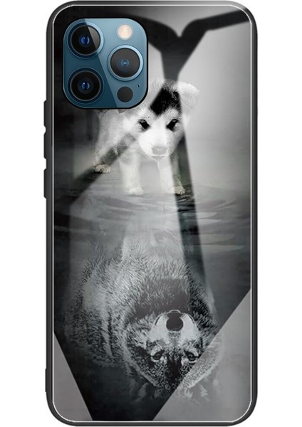 iPhone 13 Pro Için Desenli Darbeye Dayanıklı Koruyucu Telefon Kılıfı - Gri/siyah (Yurt Dışından)