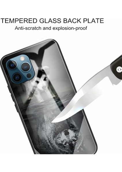 iPhone 13 Pro Için Desenli Darbeye Dayanıklı Koruyucu Telefon Kılıfı - Gri/siyah (Yurt Dışından) modelleri