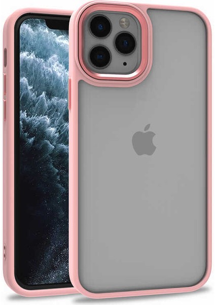 Apple iPhone 12 Pro Kılıf Flora Sert Silikon Arkası Cam Şeffaf Pembe