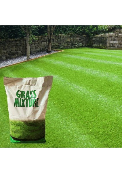 Grass Mixture 5 Karışım Gölge Alan Çim Tohumu 1 kg