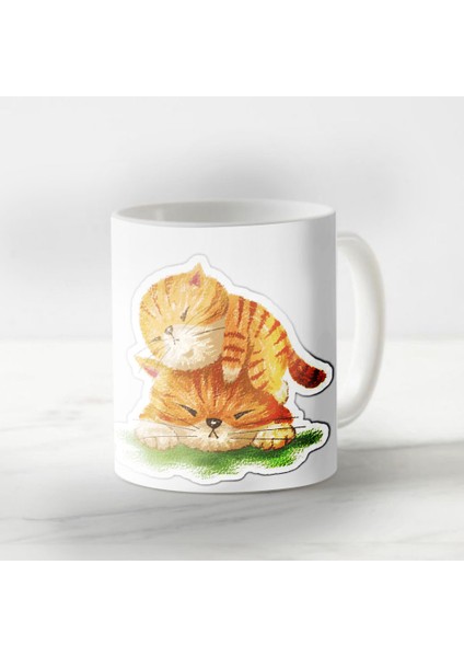 Sevgiliye Özel Haylaz Kediler Harika Tasarım Kupa