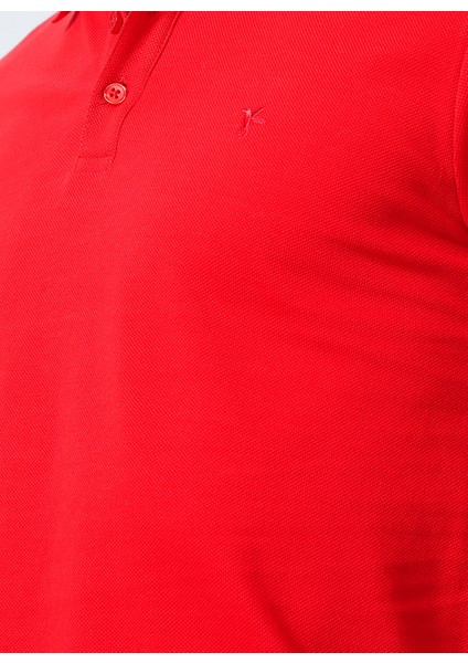 Polo Yaka Düz Kırmızı Erkek Polo T-Shirt Nobro K Cepsız indirimleri