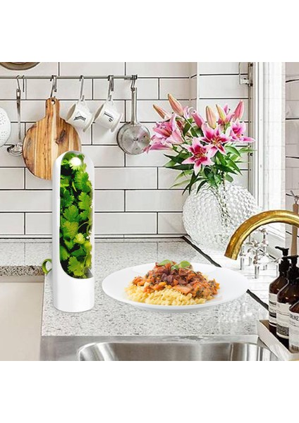 Herb Saklama Konteyneri Mutfak Eşyaları Için Taze Yeşillik Sebze Tutar (Yurt Dışından) fırsatları