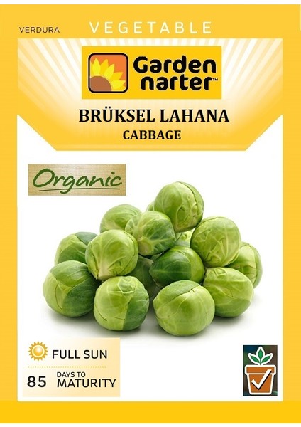 Brüksel Lahana Tohumu Doğal Organik Tohum Pakette 30 Tohum