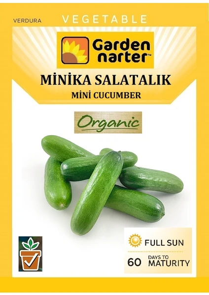 Garden Narter Minika Salatalık Tohumu Doğal Organik Tohum Pakette 100 Tohum