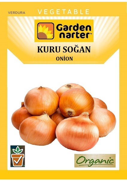 Kuru Soğan Tohumu Doğal Organik Tohum Pakette 10 gr 2500 Tohum + Sebze Tohumu