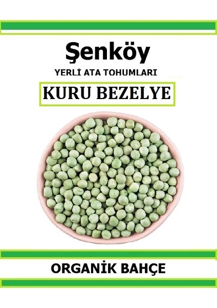 Yerli Kuru Bezelye Tohumu Doğal Ata Bezelye Tohumu Pakette 20 Tohum +  Sebze Tohumu